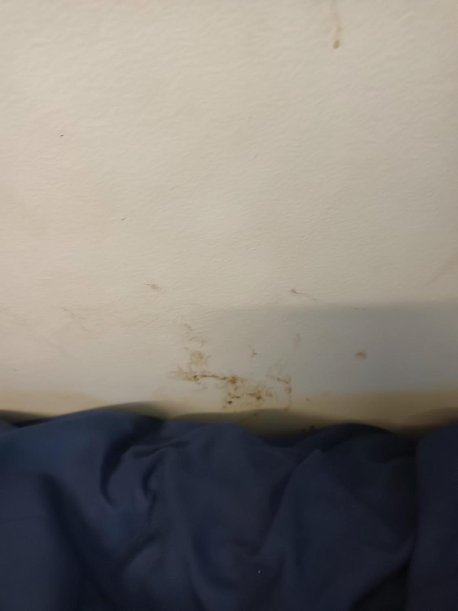 Single Room In Wollongong Near Uni Keiraville Pokoj fotografie